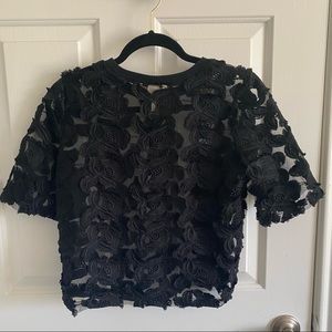 H&M Sheer Crop Floral Appliqué Top in Black
